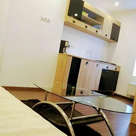 Luxury Republicii Apartment