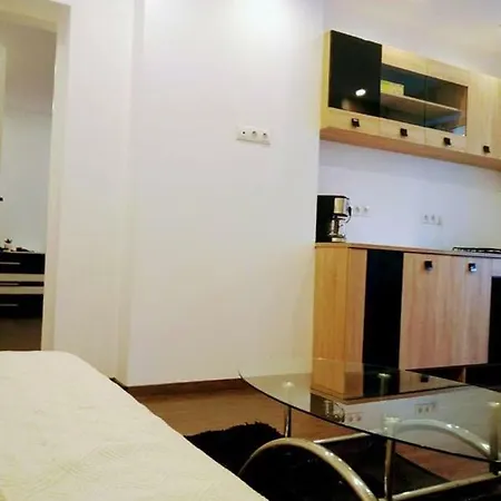 Luxury Republicii Apartment