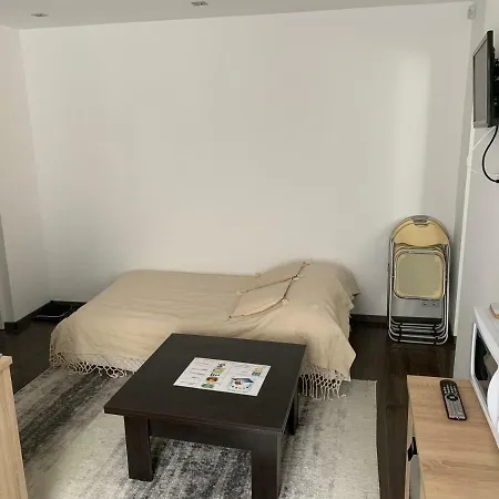 Luxury Republicii Apartment